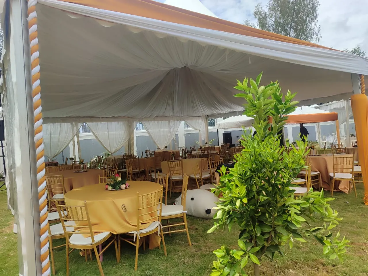 Affordable wedding planner in Nakuru - Beautiful ceremony coordination